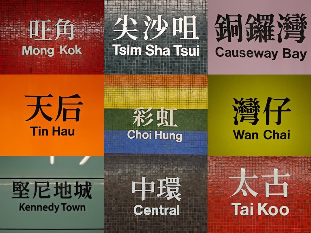 QR Code Types Explained: URL, vCard, Wi-Fi & More